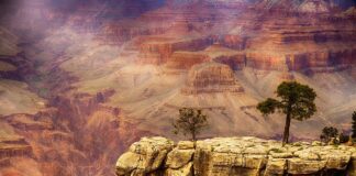 Národní park Grand Canyon