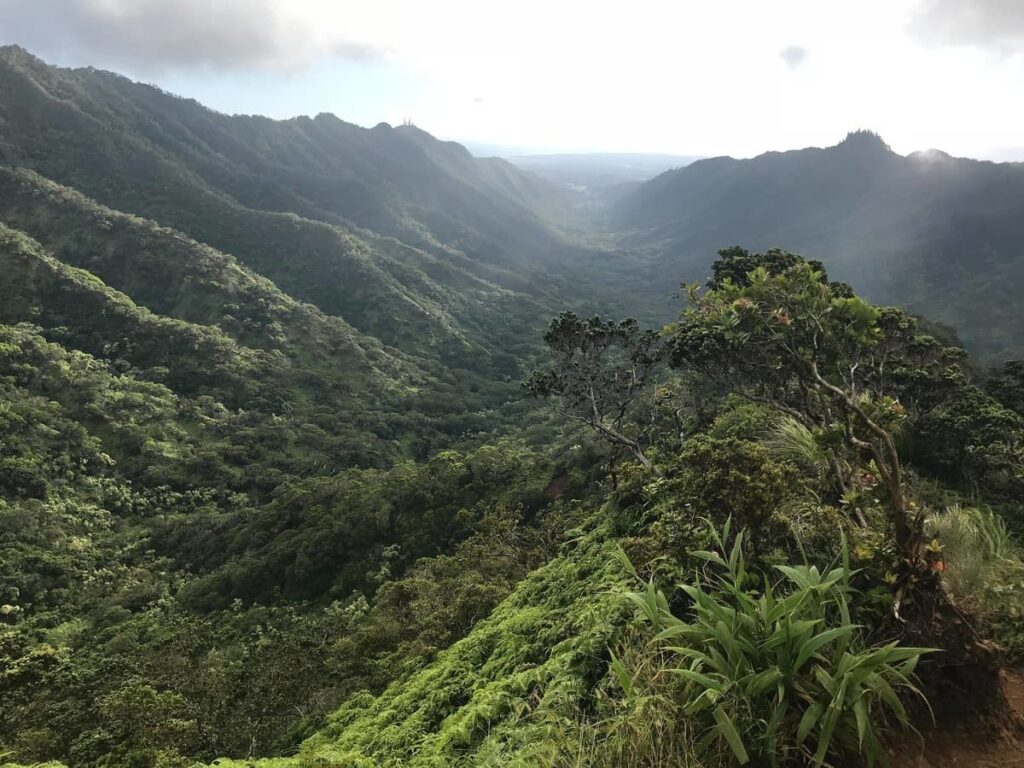 Hawaii Oahu 