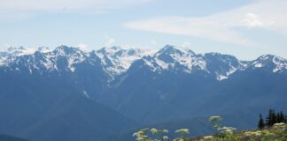 Olympic National Park olympic national park