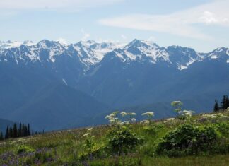 Olympic National Park olympic national park