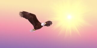 Počasí v USA Počasí v USA