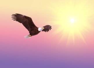 Počasí v USA Počasí v USA