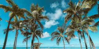 Havajské ostrovy: Dovolená. Co vidět a co dělat. Letenky a ubytování. havajské ostrovy dovolená