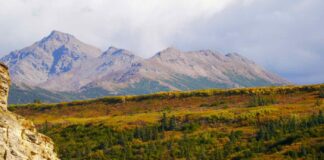 Národní park Denali, Aljaška, USA – Zajímavá místa a aktivity denali aljaška národní park