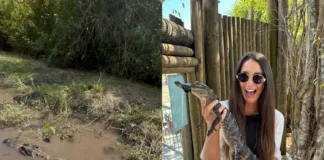 Dva roky v USA: každodenní život, kulturní rozdíly a zážitky, na které se nezapomíná terka jahodová zážitky v USA