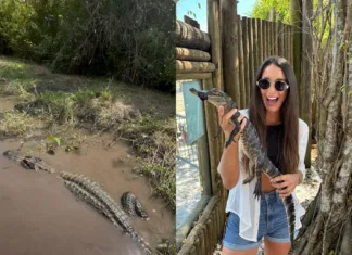 Dva roky v USA: každodenní život, kulturní rozdíly a zážitky, na které se nezapomíná terka jahodová zážitky v USA