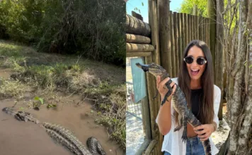 Dva roky v USA: každodenní život, kulturní rozdíly a zážitky, na které se nezapomíná terka jahodová zážitky v USA