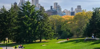 Central Park: co vidět a jak ho projít Central Park