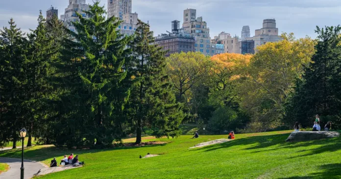 Central Park