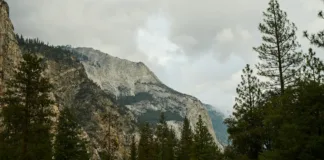 Národní park Yellowstone: co vidět a itinerář Skupiny návštěvníků na parkovišti u Yellowstonu s foťáky a průvodci, v pozadí kouří gejzír